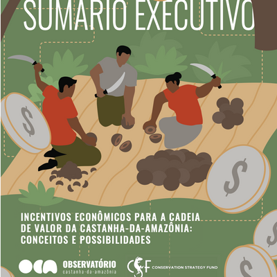 Incentivos econômicos para a cadeia de valor da castanha-da-Amazônia: conceitos e caminhos